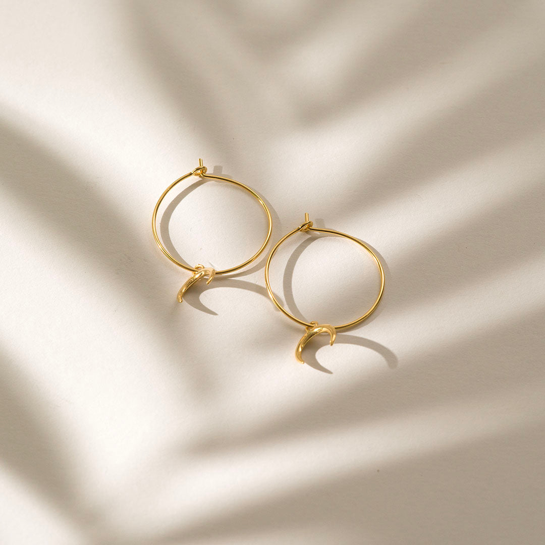 Helena Hoops & Femine Earring Charms