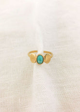 Amicameo Ring - Amazonit